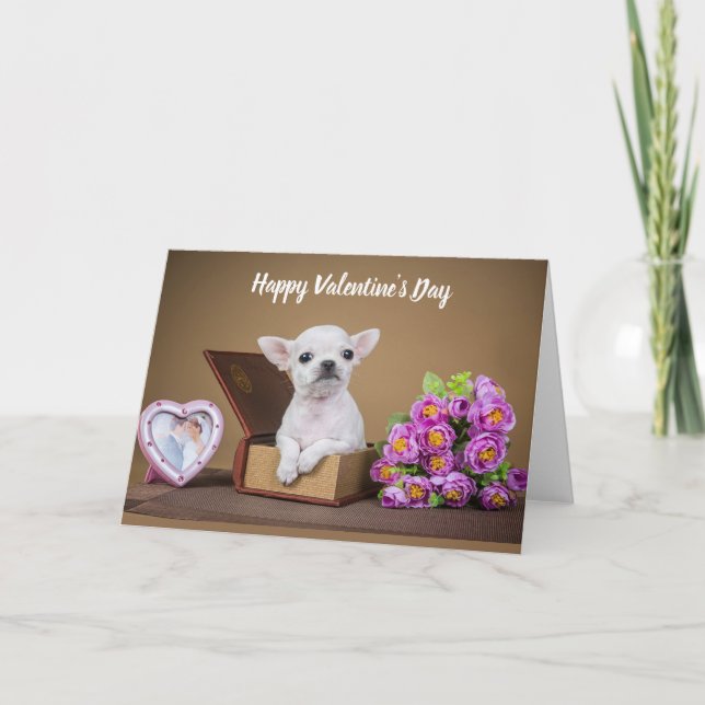 Tarjeta Festiva Feliz día de San Valentín cachorro Chihuahua (Anverso)