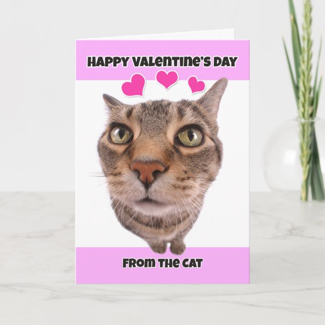Tarjeta Festiva Feliz Día de San Valentín desde el humor del gato (Anverso)
