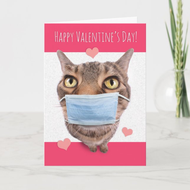 Tarjeta Festiva Feliz Día de San Valentín, divertido gato de peluc (Anverso)