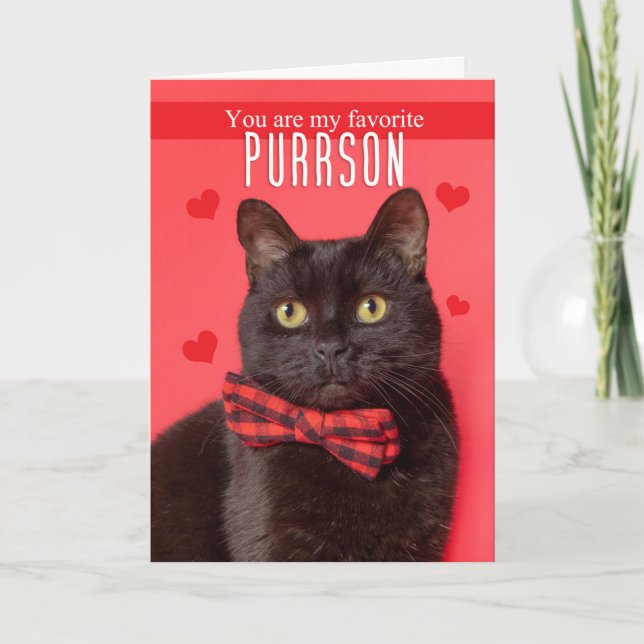 Tarjeta Festiva Feliz Día de San Valentín favorito PURRson lindo g (Anverso)