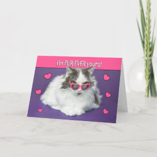 Tarjeta Festiva Feliz Día de San Valentín Gatito Lindo con Gafas d