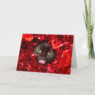 Tarjeta Festiva Feliz día de San Valentín Gatito Lindo Con Lengua 