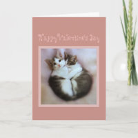 Feliz Día de San Valentín gatitos enamorados