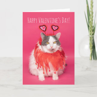Tarjeta Festiva Feliz día de San Valentín Gato Cálido y Esponjoso