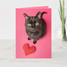 Tarjeta Festiva Feliz Día de San Valentín gracioso gato con corazó