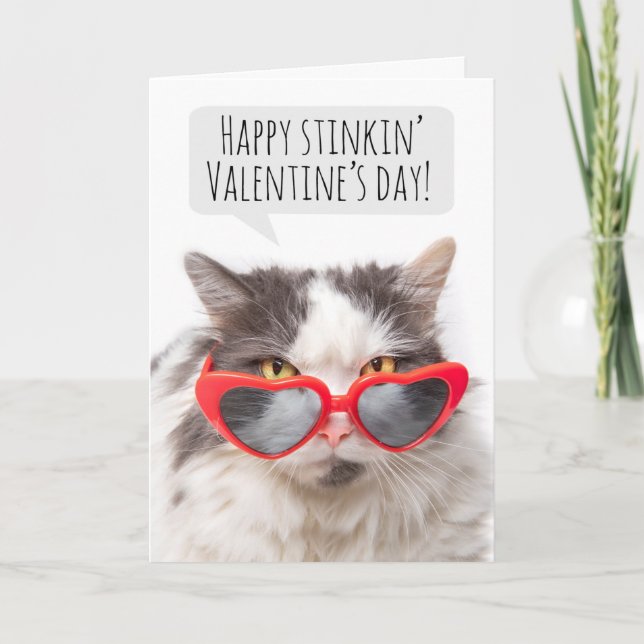 Tarjeta Festiva Feliz Día de San Valentín, gracioso gato sarcástic (Anverso)