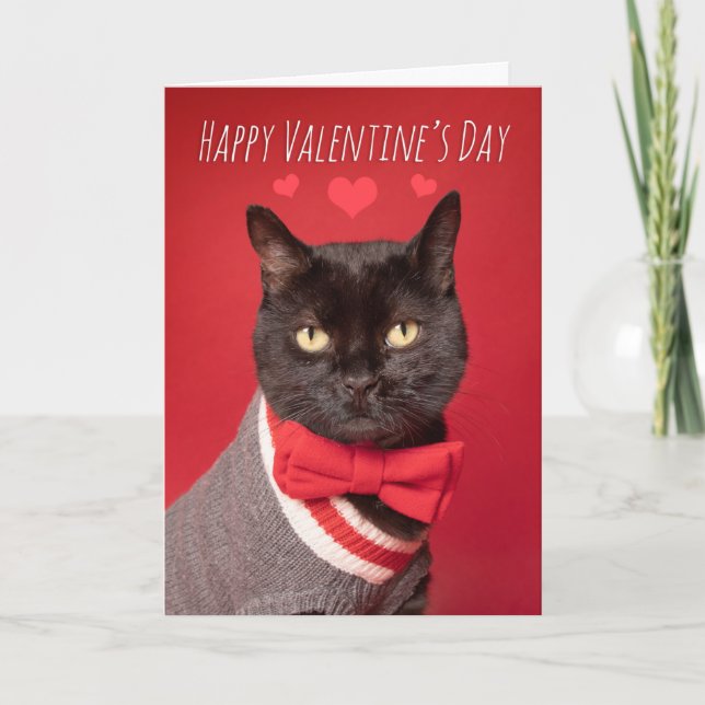 Tarjeta Festiva Feliz Día de San Valentín, guapo gato negro amargo (Anverso)