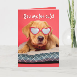 Tarjeta Festiva Feliz día de San Valentín Humor de cachorro labrad