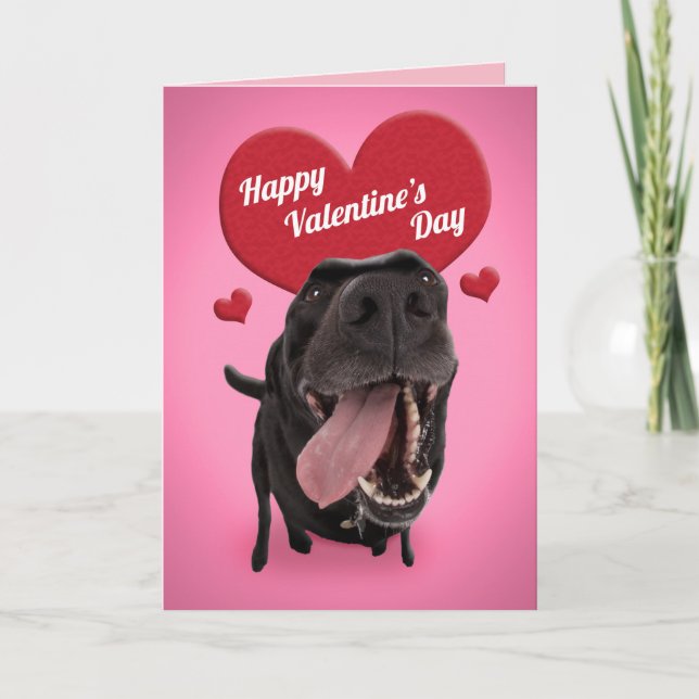 Tarjeta Festiva Feliz día de San Valentín Humor de perro lindo (Anverso)