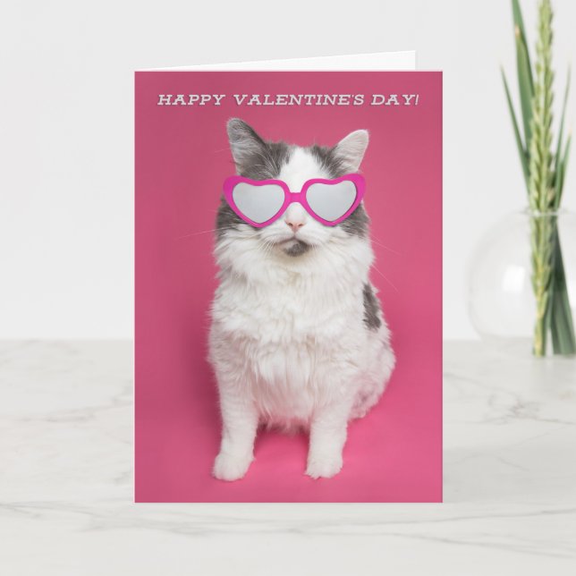 Tarjeta Festiva Feliz Día de San Valentín lindo gato con lentes de (Anverso)