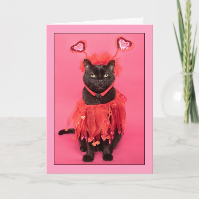 Tarjeta Festiva Feliz Día de San Valentín lindo gato vestido en el (Anverso)