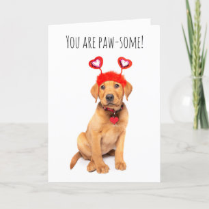 Tarjeta Festiva Feliz día de San Valentín para cualquier cachorro 