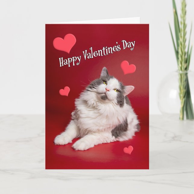Tarjeta Festiva Feliz Día de San Valentín para cualquiera que se b (Anverso)