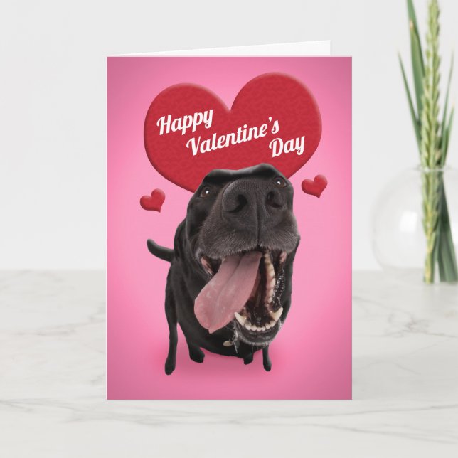 Tarjeta Festiva Feliz Día de San Valentín para todos los perros ne (Anverso)