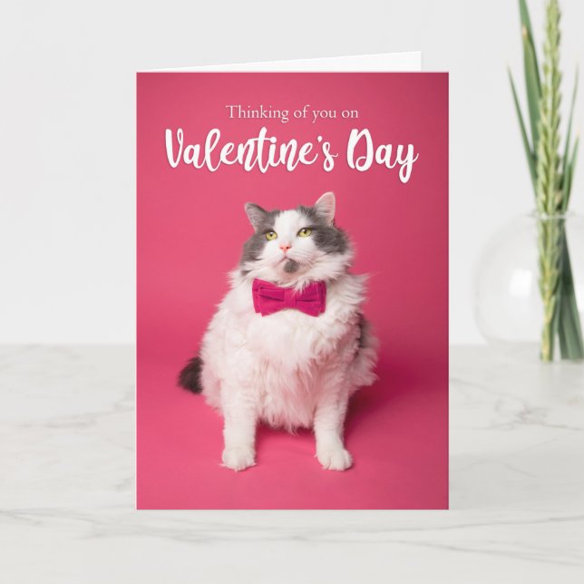 Tarjeta Festiva Feliz día de San Valentín Pensando en Ti Gato Lind (Anverso)