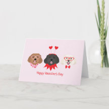 Feliz Día de San Valentín Perros Maltipoo
