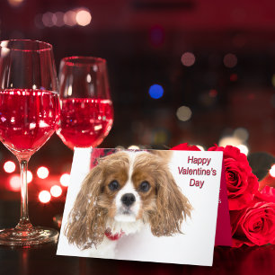 Tarjeta Festiva Feliz día de San Valentín Snowy Cavalier King Char