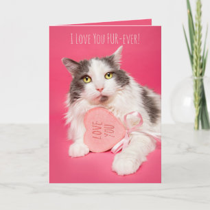 Tarjeta Festiva Feliz Día de San Valentín te amo por tu gato