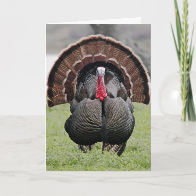 Tarjeta Festiva ¡Feliz Día de Turquía! (Anverso)