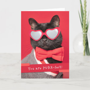 Tarjeta Festiva Feliz Día de Valeneitne Gato lindo en lentes cardí