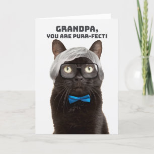 Tarjeta Festiva Feliz Día del Padre Abuelo Humor de Gato Anciano 