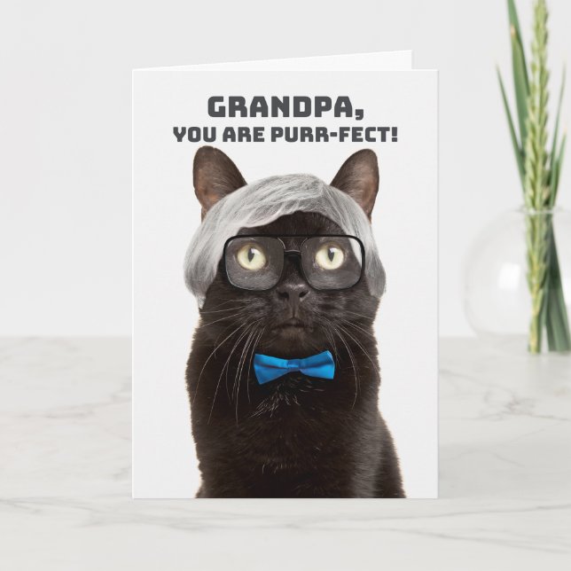 Tarjeta Festiva Feliz Día del Padre Humor de Gato de Hombre Mayor  (Anverso)