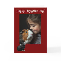 Feliz Día del Piggytine Guinea San Valentín