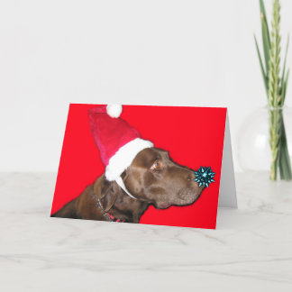Tarjeta Festiva ¡Feliz Dogmas!
