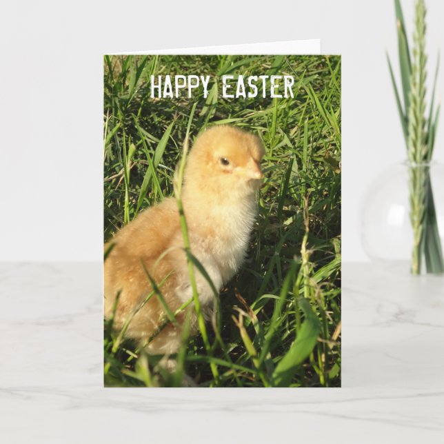 Tarjeta Festiva Feliz Easter Little Chick Card (Anverso)