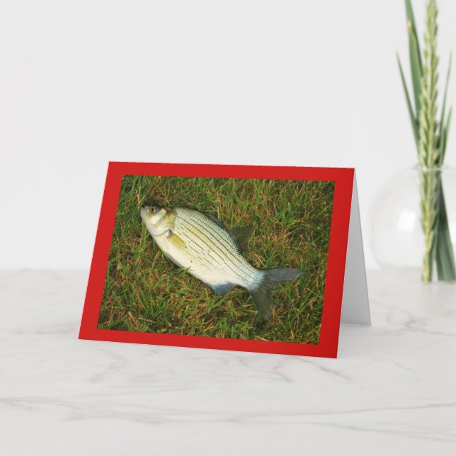Tarjeta Festiva ¡Feliz Fishmas! (Anverso)