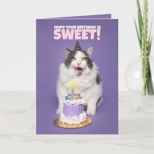 Tarjeta Festiva Felíz Gato De Cumpleaños Con Un Humor De Cara De T