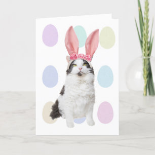 Tarjeta Festiva Feliz gato de Pascua con humor de las orejas gemel