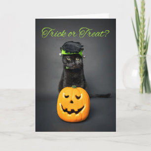 Tarjeta Festiva Feliz Halloween para cualquier gato con disfraz de