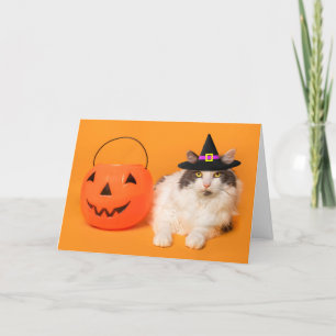 Tarjeta Festiva Feliz Halloween para cualquier gato lindo con somb