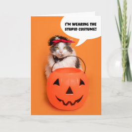 Tarjeta Festiva Feliz Halloween para cualquier gato loco disfrazad