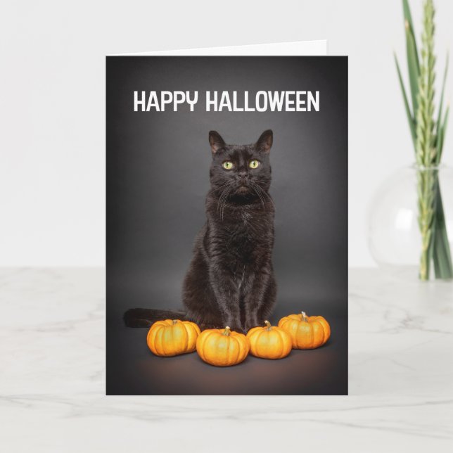 Tarjeta Festiva Feliz Halloween para cualquier gato negro con cala (Anverso)