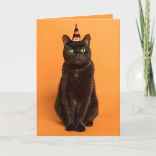 Tarjeta Festiva Feliz Halloween para cualquier gato negro en Gorra