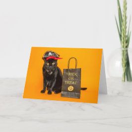 Tarjeta Festiva Feliz Halloween para cualquier gato pirata diverti