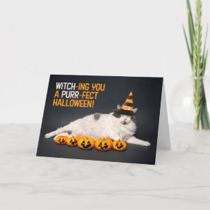 Tarjeta Festiva Feliz Halloween para cualquiera Gato divertido con