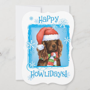 Tarjeta Festiva Feliz Howlidays Boykin Spaniel