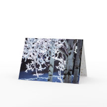 Feliz Janucá Abedules escarcha