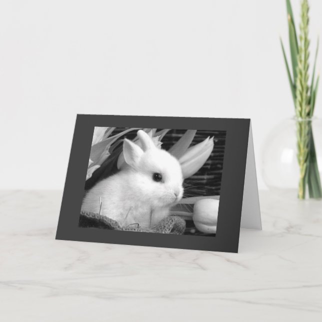 TARJETA FESTIVA FELIZ MÁS FÁCIL PARA MI "BUNNY DE HONEY" (Anverso)