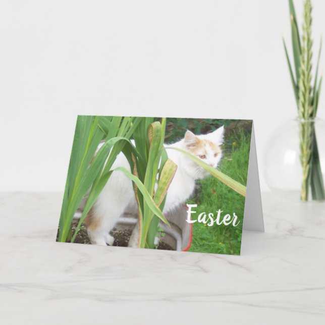 TARJETA FESTIVA FELIZ MÁS FELIZ - PRIMAVERA FELIZ PARA "TI" (Anverso)