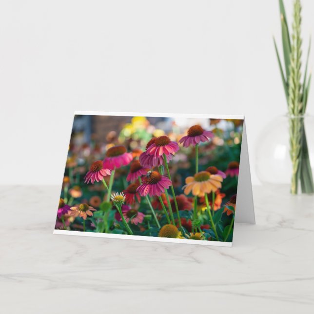 TARJETA FESTIVA FELIZ **MÁS FELIZ** Y FELIZ **PRIMAVERA** (Anverso)