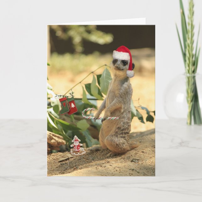 Tarjeta Festiva Feliz Meerkat (Anverso)