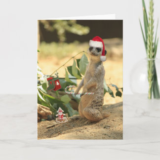 Tarjeta Festiva Feliz Meerkat