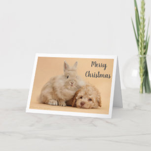 Tarjeta Festiva **FELIZ NAVIDAD** de CONEJO & CACHORRO