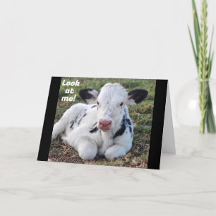 TARJETA FESTIVA "FELIZ NAVIDAD" DE LA VAQUITA ADORABLE