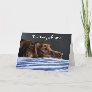TARJETA FESTIVA "FELIZ NAVIDAD" DE PERRO DULCE