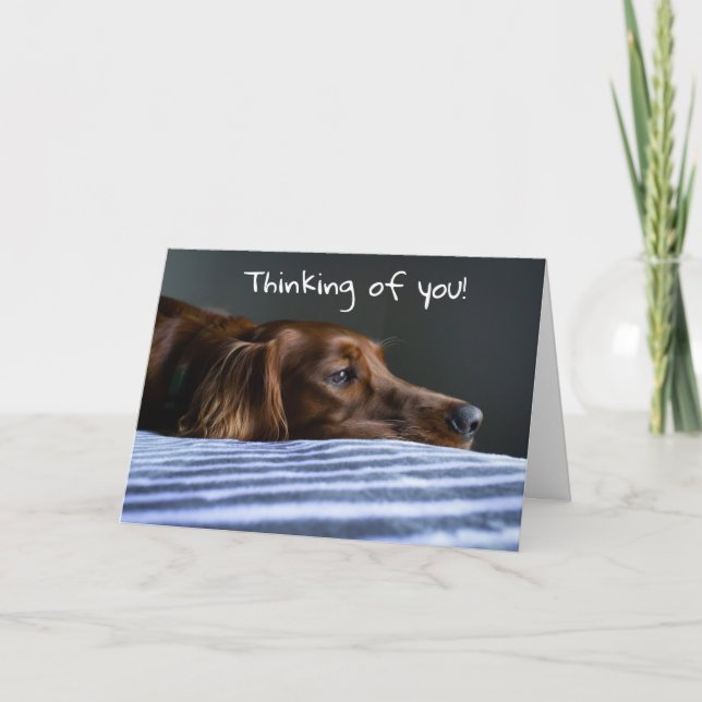 TARJETA FESTIVA "FELIZ NAVIDAD" DE PERRO DULCE (Anverso)